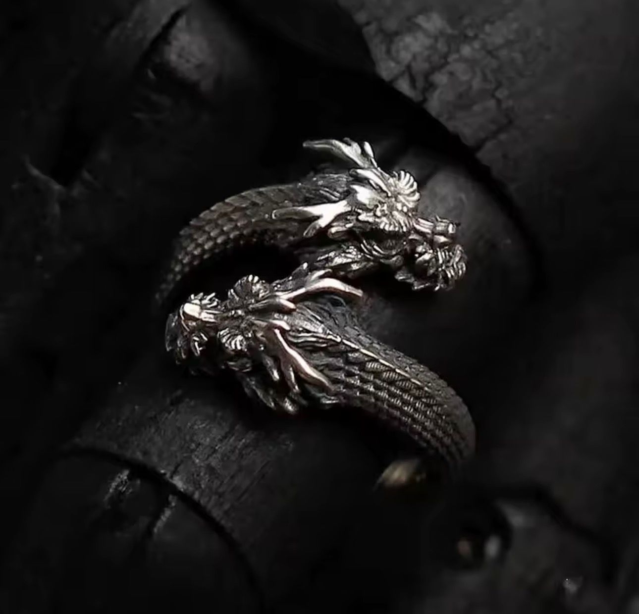 Anillo 'Ouroboros'